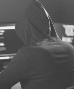 Cybercriminalité I